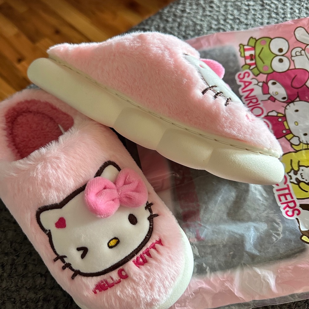 Hello Kitty (Sanrio Character) slippers